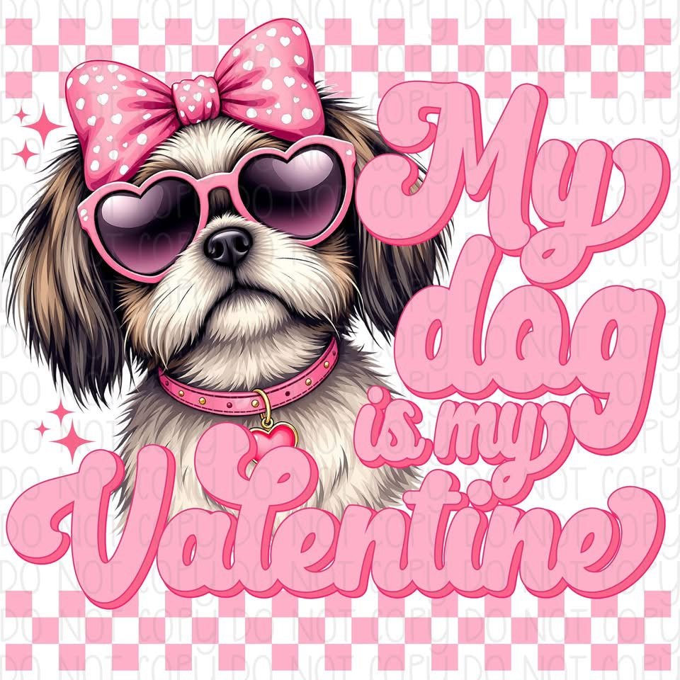 My Dog is my Valentine Shih Tzu DTF Transfer Design CF