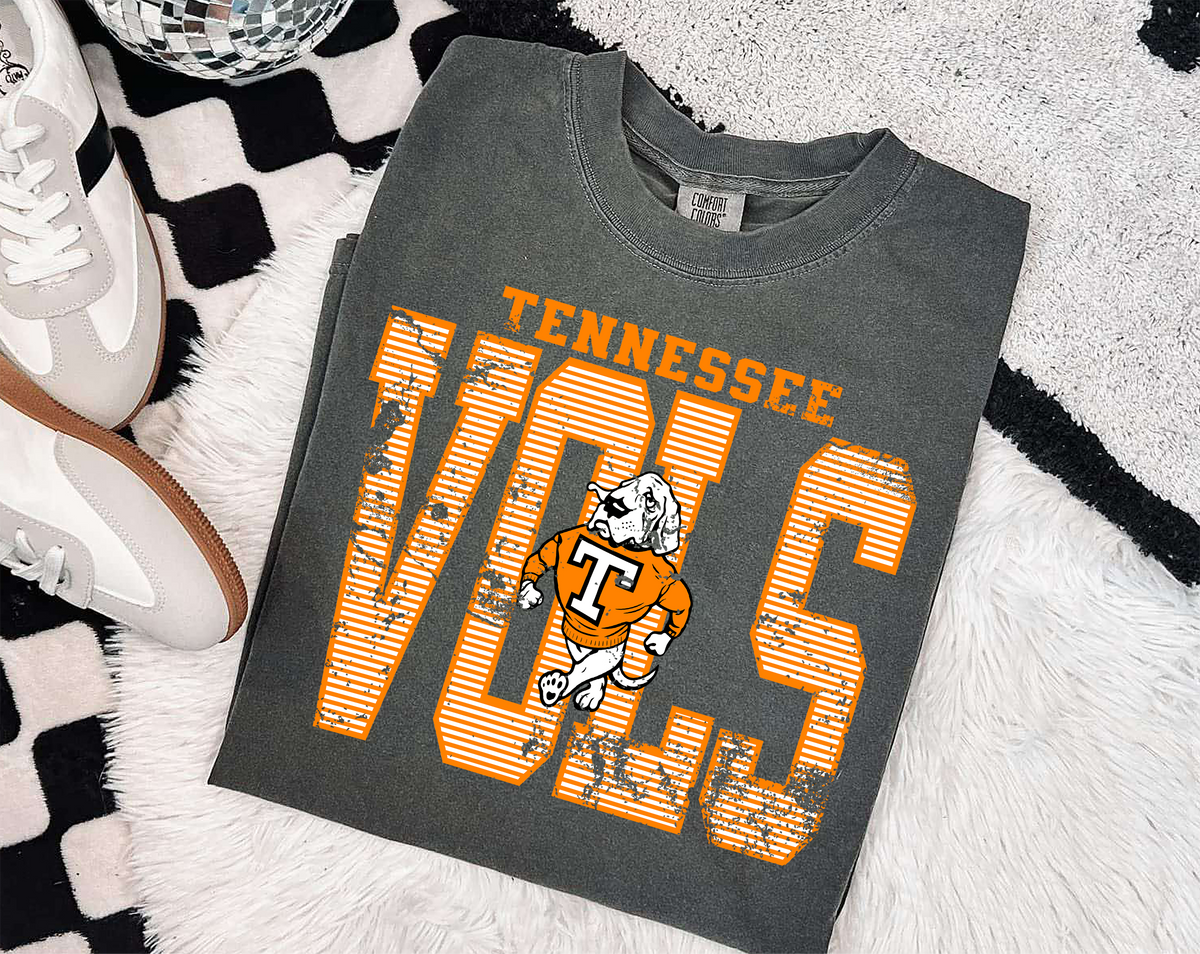 Mascot NCA Stripes DTF Transfer