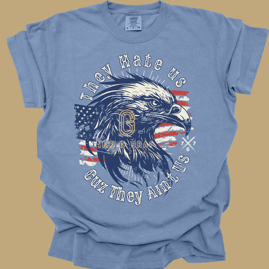 They hate us cuz they ain't us eagle DTF Transfer Design