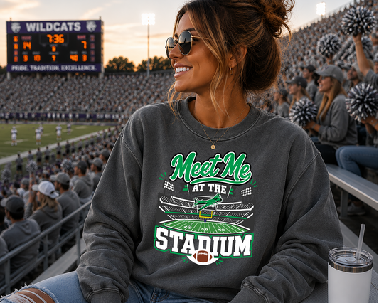 Mascot Meet Me at the Stadium DTF Transfer