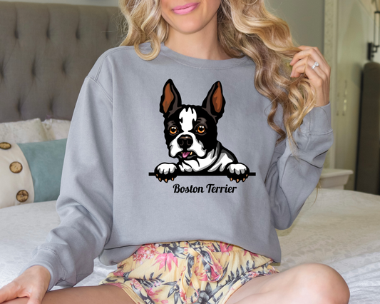 Boston Terrier DTF Transfer Design