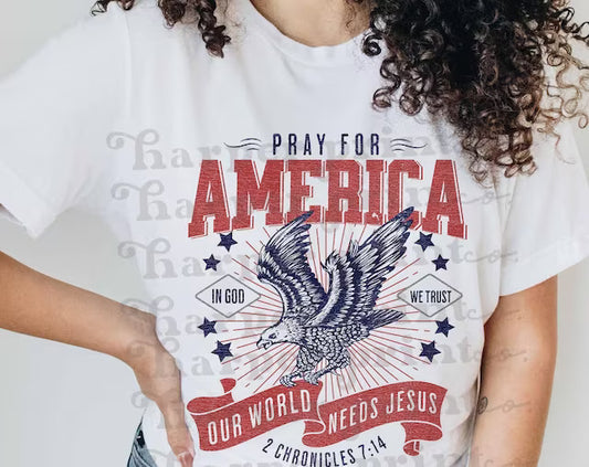 Pray for America our world needs Jesus 2 Chronicles 7:14 DTF Transfer Design