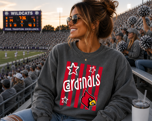 Mascot stripes and stars DTF Transfer