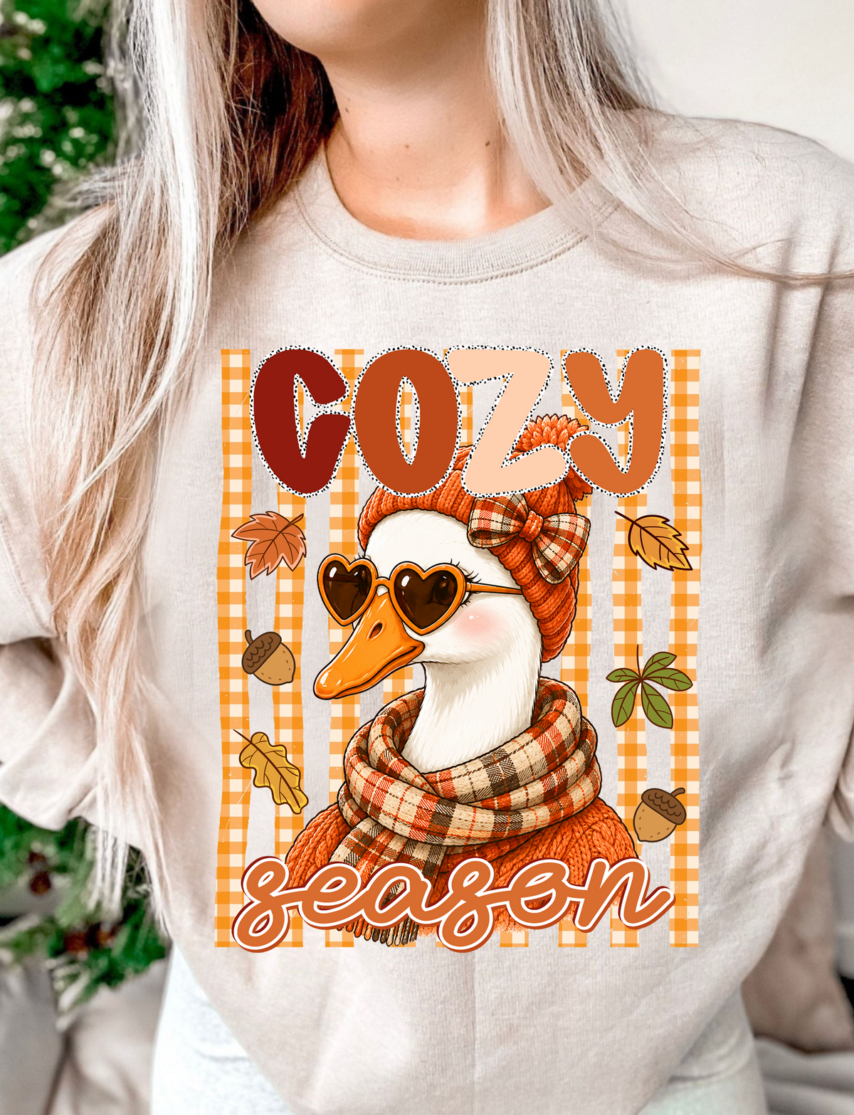 cozy season duck stripes DTF Transfer Design