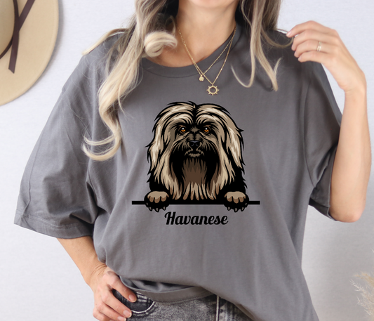 HAVANESE DTF Transfer Design