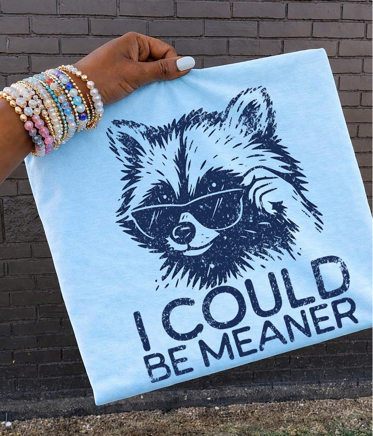 I could be meaner distressed DTF Transfer Design