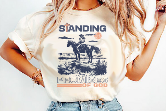 standing on the promises Horse blue distress DTF Transfer Design