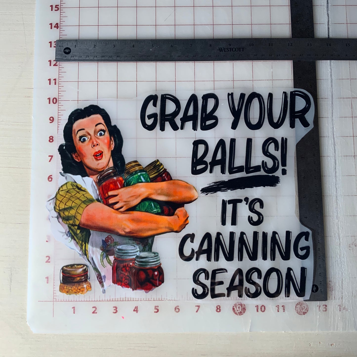 Grab your Balls! It's CANNING Season DTF Transfer Design